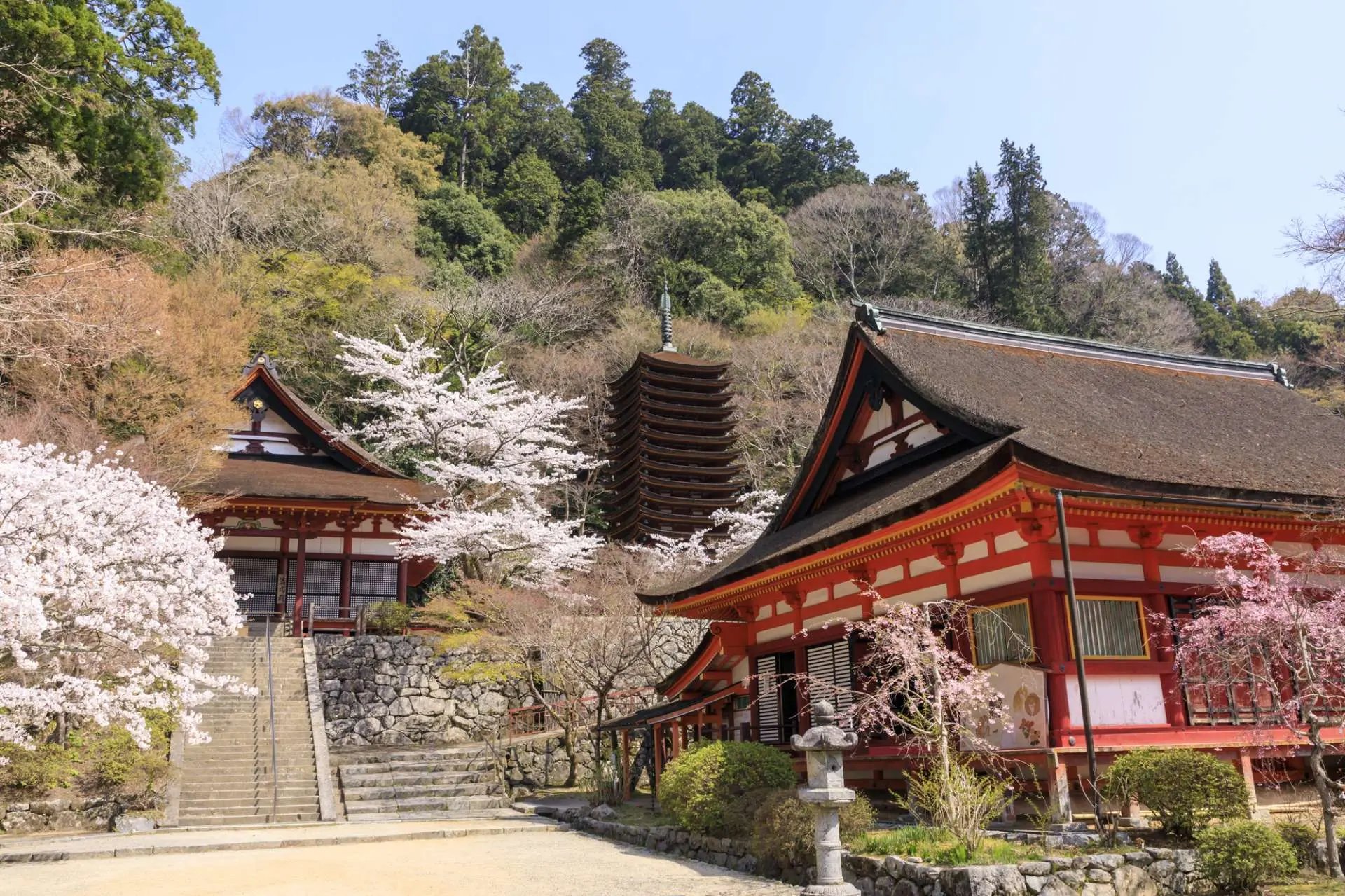 ⛩️ 단잔 신사(단잔진자) 이미지 6